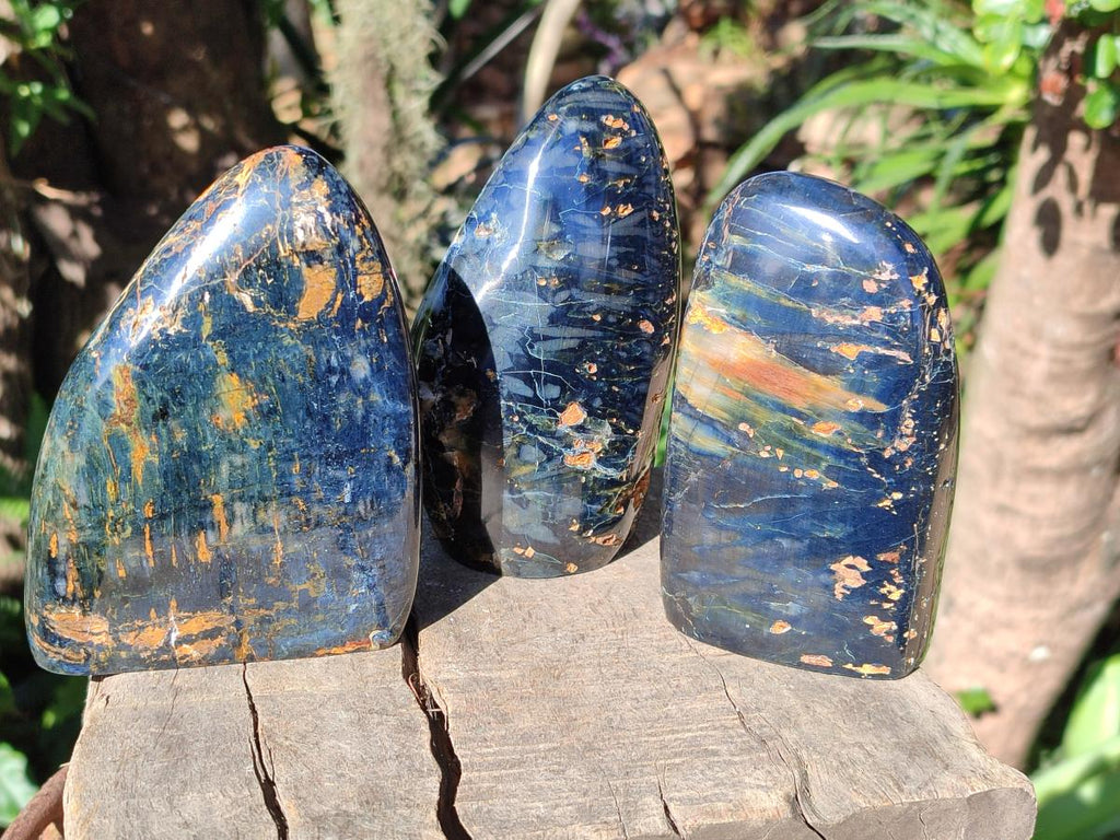 Polished Nellite Tigers Eye Standing Display Pieces x 3 From Prieska, South Africa - Toprock Gemstones and Minerals 