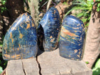 Polished Nellite Tigers Eye Standing Display Pieces x 3 From Prieska, South Africa - Toprock Gemstones and Minerals 