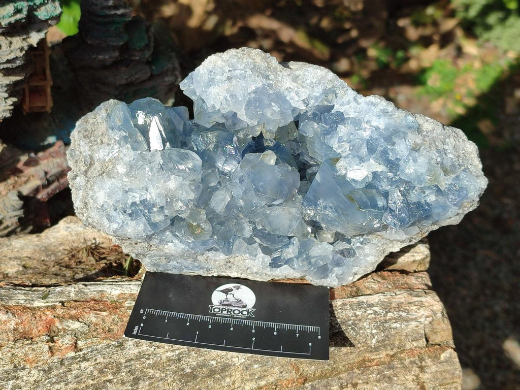 Natural Large Blue Celestite Specimen x 1 From Sakoany, Madagascar - Toprock Gemstones and Minerals 