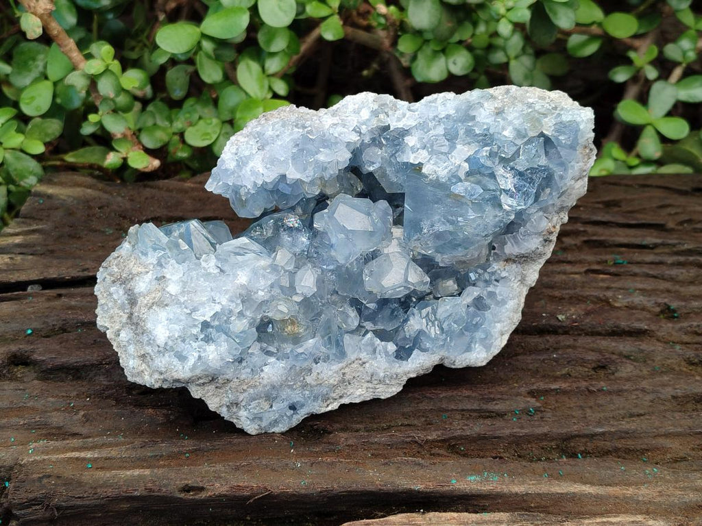 Natural Large Blue Celestite Specimen x 1 From Sakoany, Madagascar - Toprock Gemstones and Minerals 