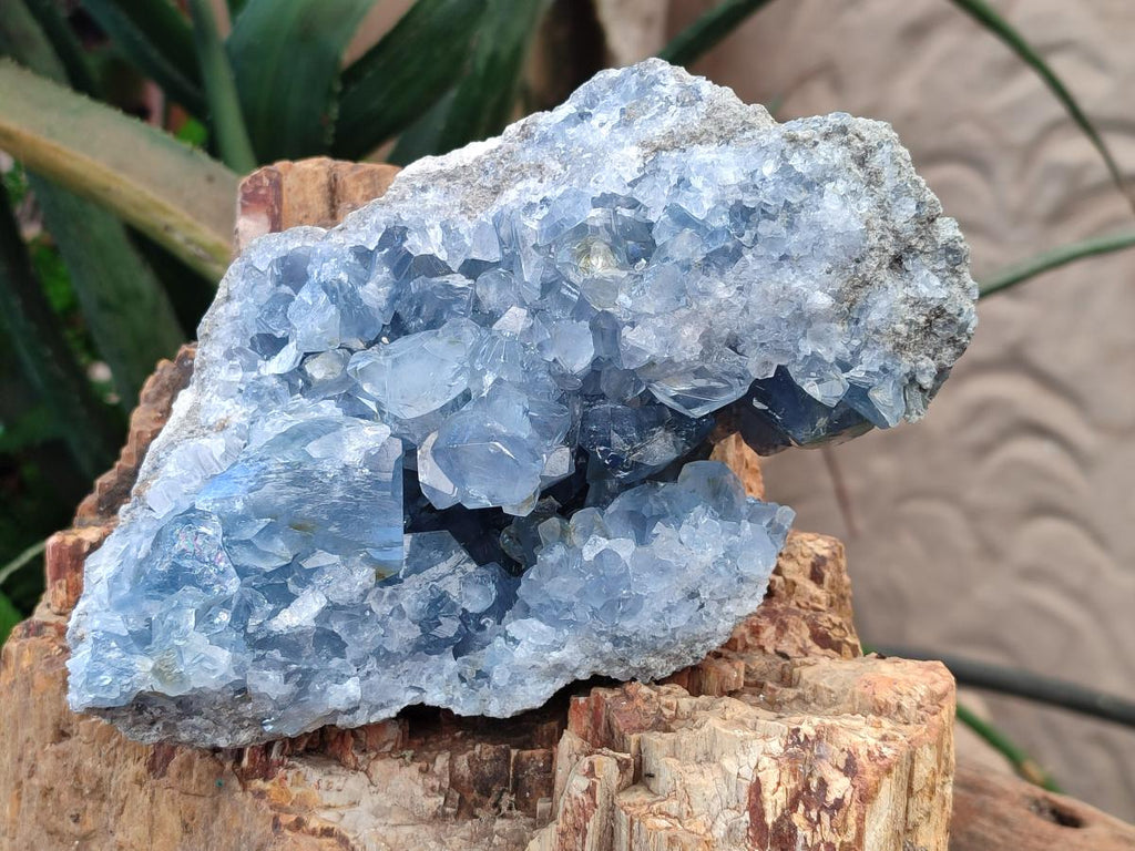 Natural Large Blue Celestite Specimen x 1 From Sakoany, Madagascar - Toprock Gemstones and Minerals 