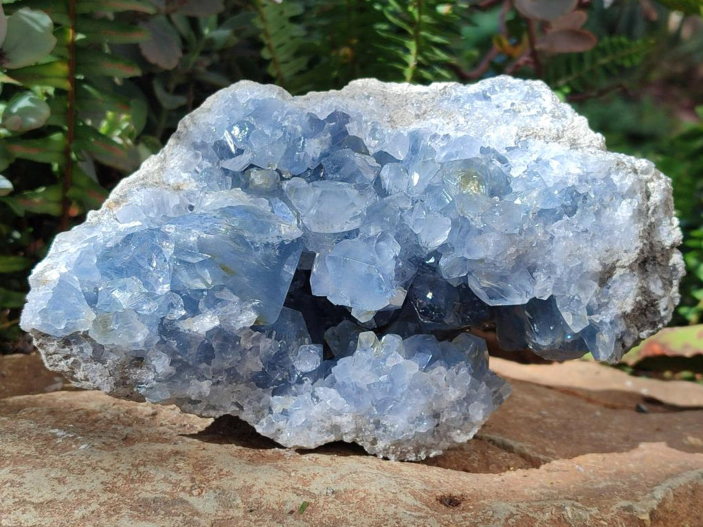 Natural Large Blue Celestite Specimen x 1 From Sakoany, Madagascar - Toprock Gemstones and Minerals 