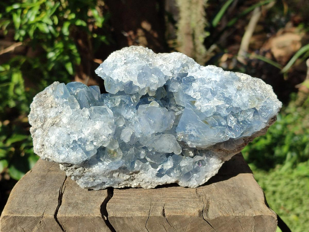 Natural Large Blue Celestite Specimen x 1 From Sakoany, Madagascar - Toprock Gemstones and Minerals 