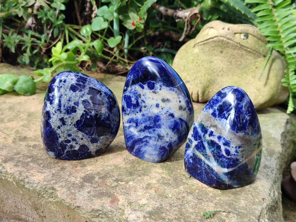 Polished Sodalite Standing Display Pieces x 3 From Kunene River, Namibia - Toprock Gemstones and Minerals 