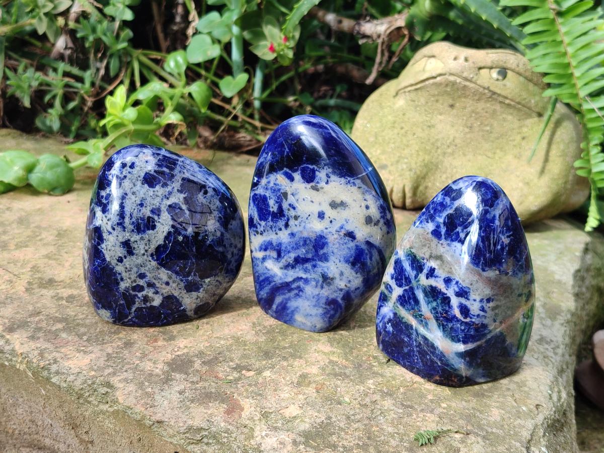 Polished Sodalite Standing Display Pieces x 3 From Kunene River, Namibia - Toprock Gemstones and Minerals 