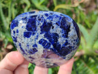 Polished Sodalite Standing Display Pieces x 3 From Kunene River, Namibia - Toprock Gemstones and Minerals 