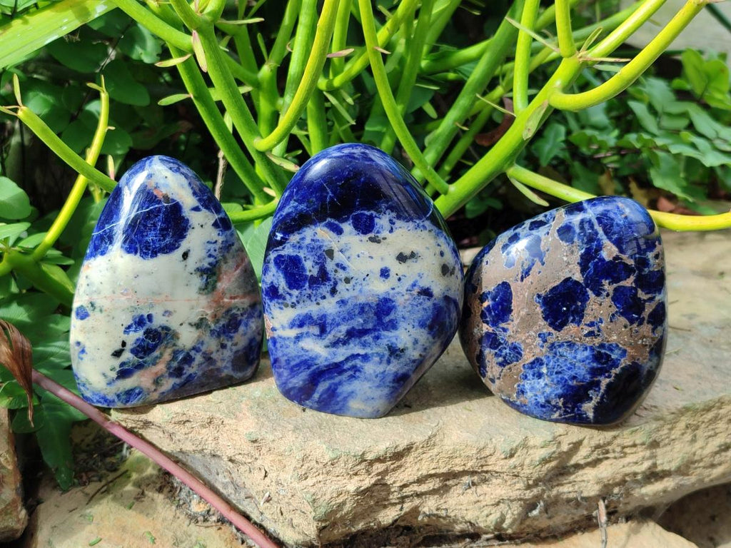 Polished Sodalite Standing Display Pieces x 3 From Kunene River, Namibia - Toprock Gemstones and Minerals 