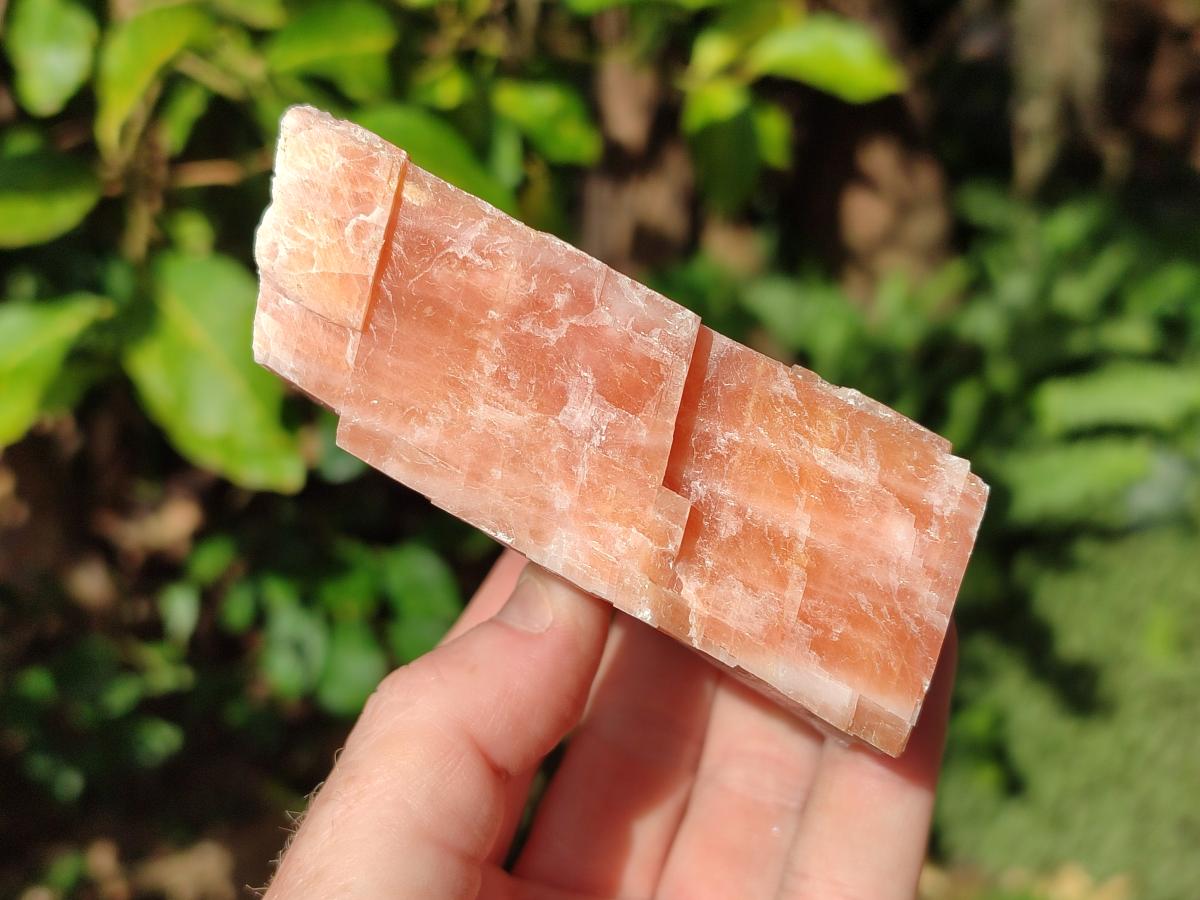 Natural Rhombohedral Sunset Orange Calcite Specimens x 4 From Spitzkop, Namibia - Toprock Gemstones and Minerals 