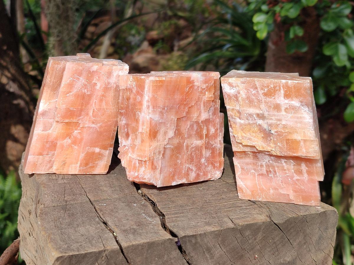 Natural Rhombohedral Sunset Orange Calcite Specimens x 4 From Spitzkop, Namibia - Toprock Gemstones and Minerals 