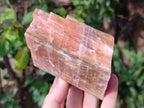 Natural Rhombohedral Sunset Orange Calcite Specimens x 4 From Spitzkop, Namibia - Toprock Gemstones and Minerals 