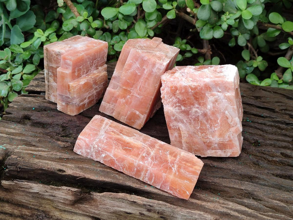 Natural Rhombohedral Sunset Orange Calcite Specimens x 4 From Spitzkop, Namibia - Toprock Gemstones and Minerals 