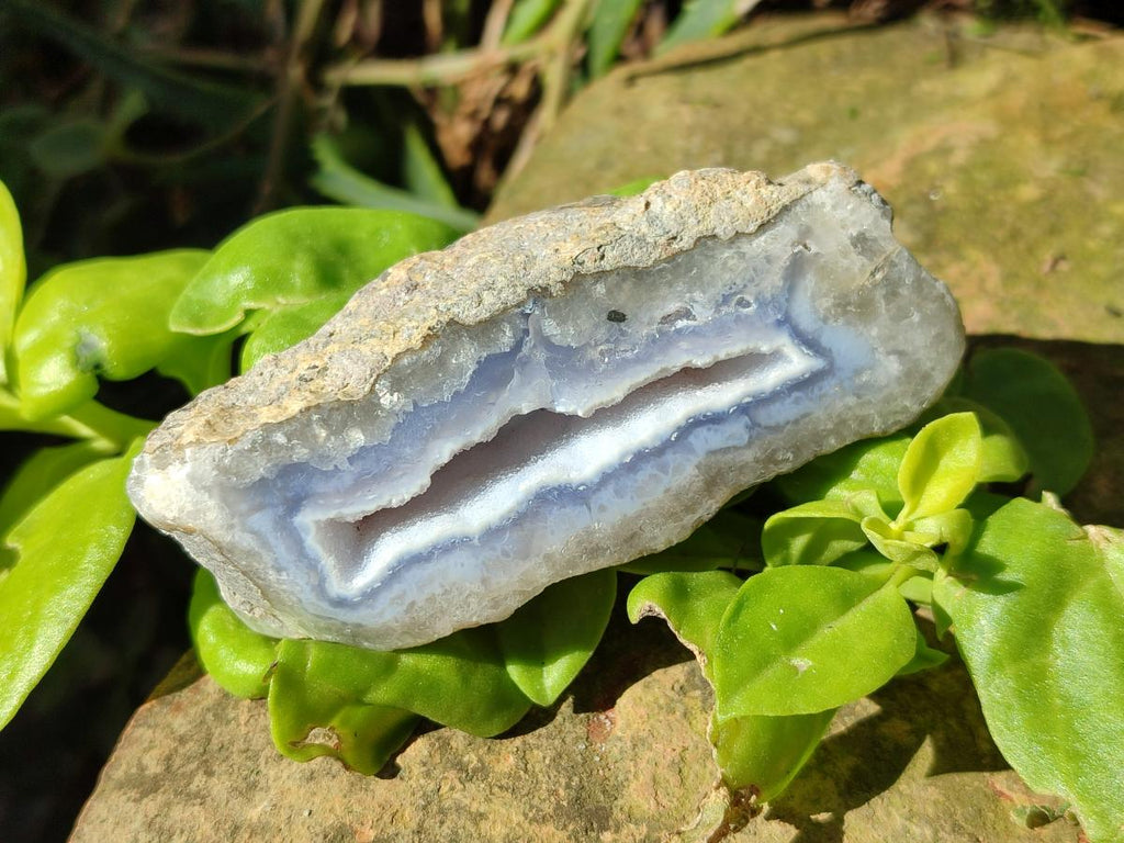 Polished On One Side Blue Lace Agate Geodes x 16 From Nsanje, Malawi - Toprock Gemstones and Minerals 