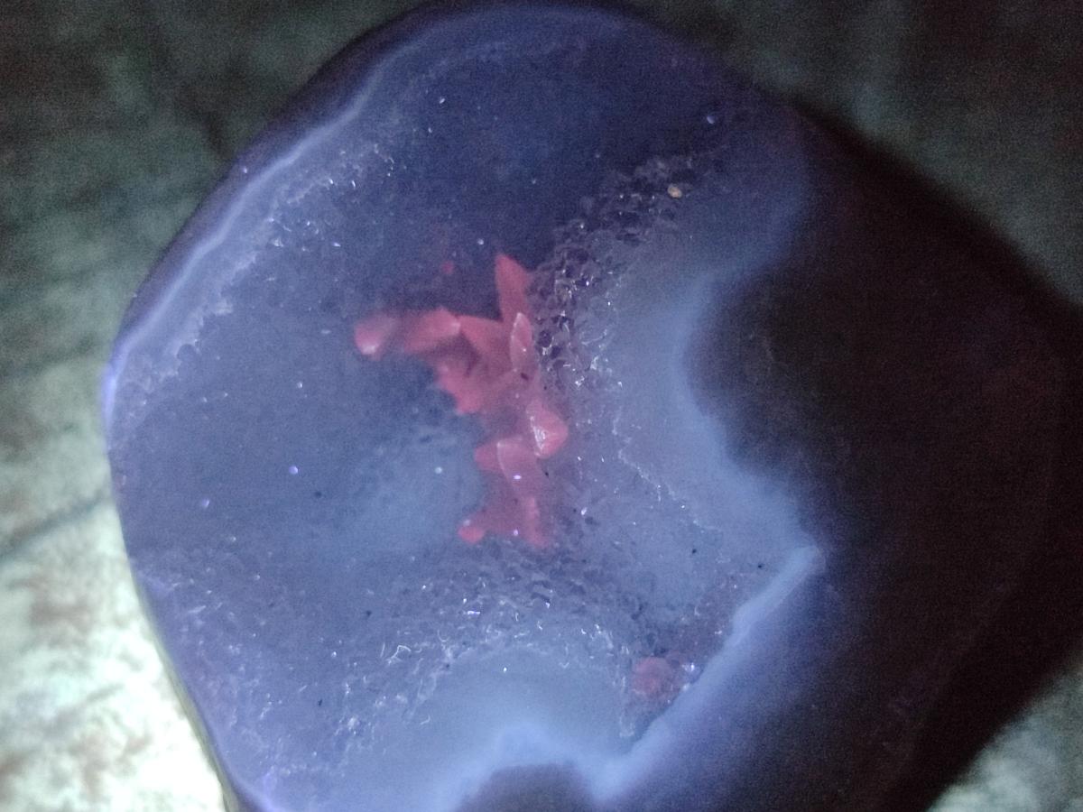 Polished On One Side Blue Lace Agate Geodes x 16 From Nsanje, Malawi - Toprock Gemstones and Minerals 