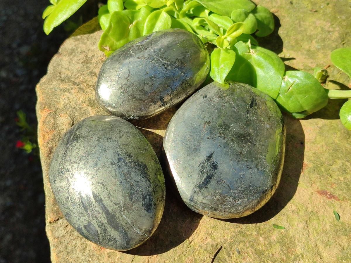 Polished Basalt Pharaoh Stone Galets x 12 From Iron Duke Mine, Zimbabwe - Toprock Gemstones and Minerals 