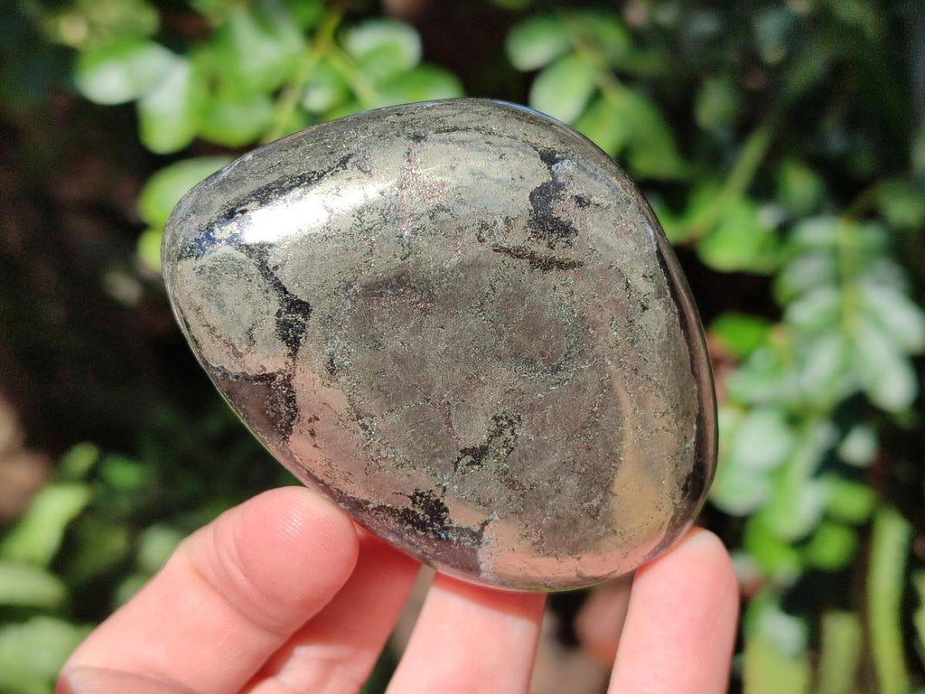 Polished Basalt Pharaoh Stone Galets x 12 From Iron Duke Mine, Zimbabwe - Toprock Gemstones and Minerals 