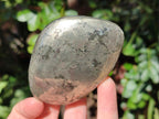 Polished Basalt Pharaoh Stone Galets x 12 From Iron Duke Mine, Zimbabwe - Toprock Gemstones and Minerals 