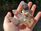 Natural Amethyst Smokey Quartz Crystals x 25 From Brandberg, Namibia - Toprock Gemstones and Minerals 