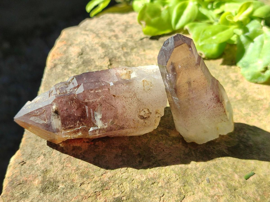 Natural Amethyst Smokey Quartz Crystals x 25 From Brandberg, Namibia - Toprock Gemstones and Minerals 
