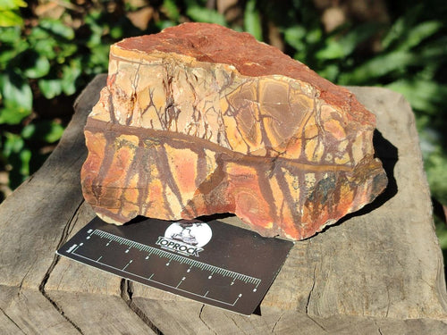 Natural Nguni Jasper Cobbed Specimens x 3 From Northern Cape, South Africa - Toprock Gemstones and Minerals 