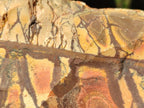 Natural Nguni Jasper Cobbed Specimens x 3 From Northern Cape, South Africa - Toprock Gemstones and Minerals 