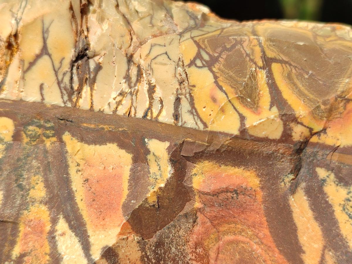 Natural Nguni Jasper Cobbed Specimens x 3 From Northern Cape, South Africa - Toprock Gemstones and Minerals 