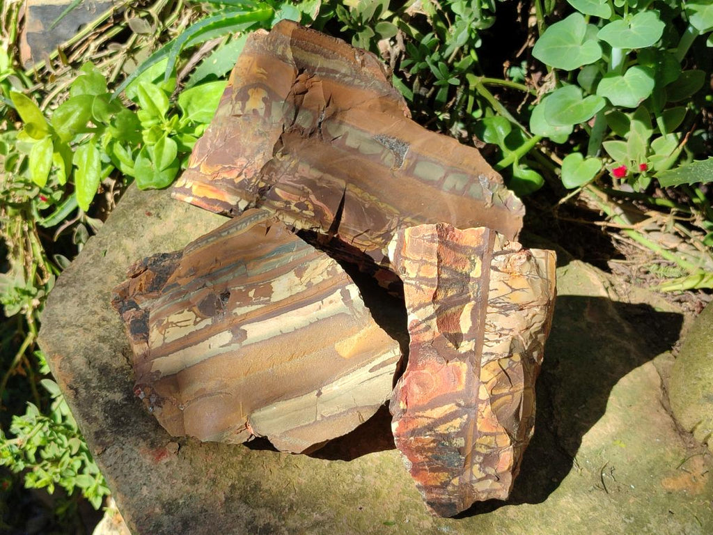 Natural Nguni Jasper Cobbed Specimens x 3 From Northern Cape, South Africa - Toprock Gemstones and Minerals 