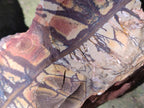 Natural Nguni Jasper Cobbed Specimens x 3 From Northern Cape, South Africa - Toprock Gemstones and Minerals 
