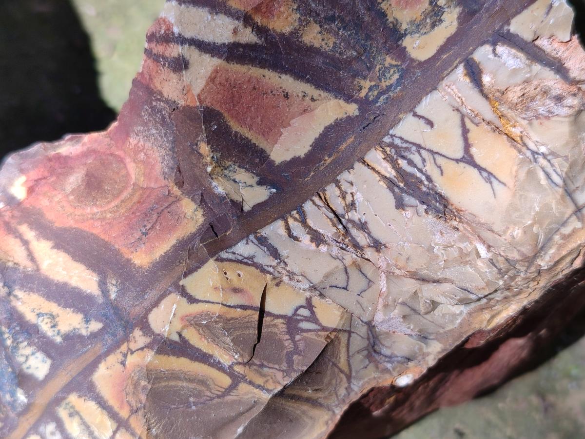 Natural Nguni Jasper Cobbed Specimens x 3 From Northern Cape, South Africa - Toprock Gemstones and Minerals 