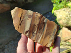 Natural Nguni Jasper Cobbed Specimens x 3 From Northern Cape, South Africa - Toprock Gemstones and Minerals 