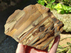 Natural Nguni Jasper Cobbed Specimens x 3 From Northern Cape, South Africa - Toprock Gemstones and Minerals 