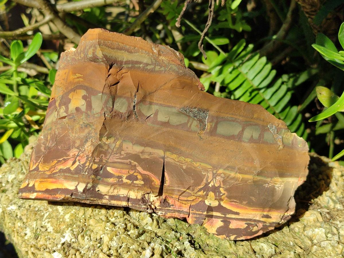 Natural Nguni Jasper Cobbed Specimens x 3 From Northern Cape, South Africa - Toprock Gemstones and Minerals 