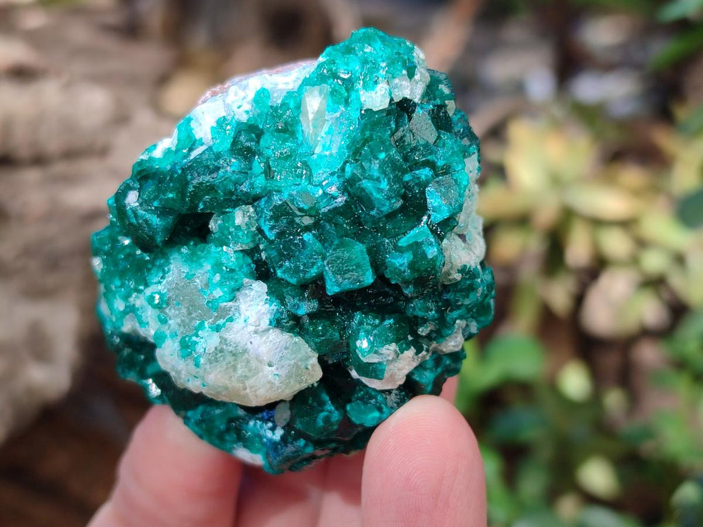 Natural Dioptase on Dolomite Specimens x 6 From Likasi, Congo - Toprock Gemstones and Minerals 