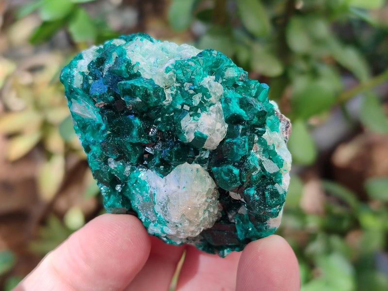 Natural Dioptase on Dolomite Specimens x 6 From Likasi, Congo - Toprock Gemstones and Minerals 
