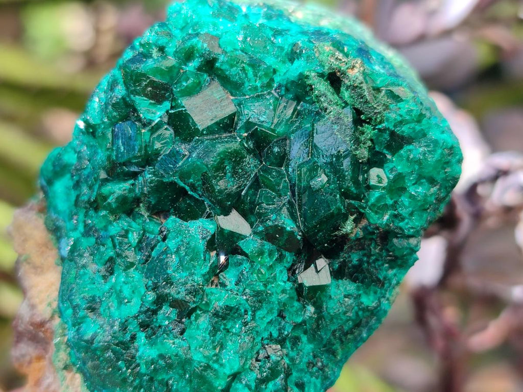 Natural Dioptase on Dolomite Specimens x 6 From Likasi, Congo - Toprock Gemstones and Minerals 