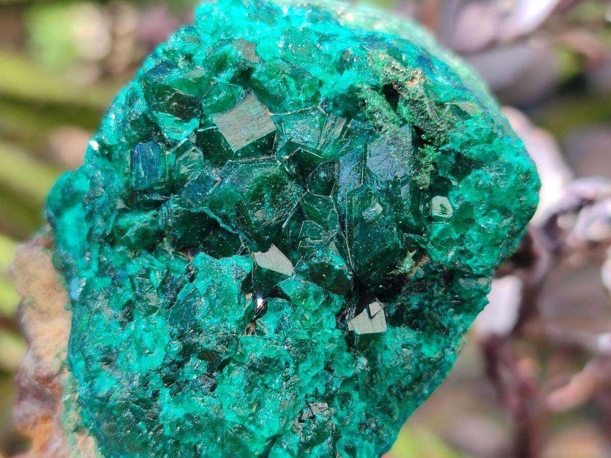 Natural Dioptase on Dolomite Specimens x 6 From Likasi, Congo - Toprock Gemstones and Minerals 