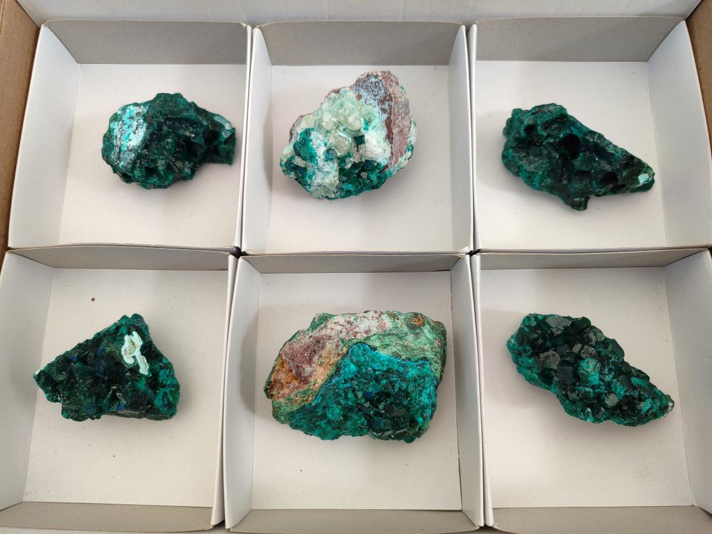 Natural Dioptase on Dolomite Specimens x 6 From Likasi, Congo - Toprock Gemstones and Minerals 