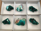 Natural Dioptase on Dolomite Specimens x 6 From Likasi, Congo - Toprock Gemstones and Minerals 