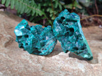 Natural Dioptase on Dolomite Specimens x 6 From Likasi, Congo - Toprock Gemstones and Minerals 
