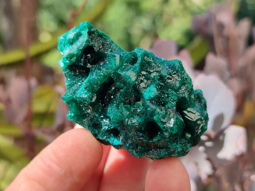 Natural Dioptase on Dolomite Specimens x 6 From Likasi, Congo - Toprock Gemstones and Minerals 