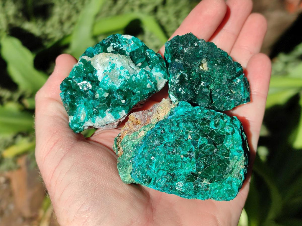 Natural Dioptase on Dolomite Specimens x 6 From Likasi, Congo - Toprock Gemstones and Minerals 