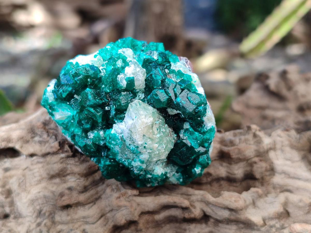 Natural Dioptase on Dolomite Specimens x 6 From Likasi, Congo - Toprock Gemstones and Minerals 