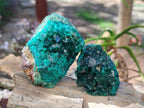 Natural Dioptase on Dolomite Specimens x 6 From Likasi, Congo - Toprock Gemstones and Minerals 