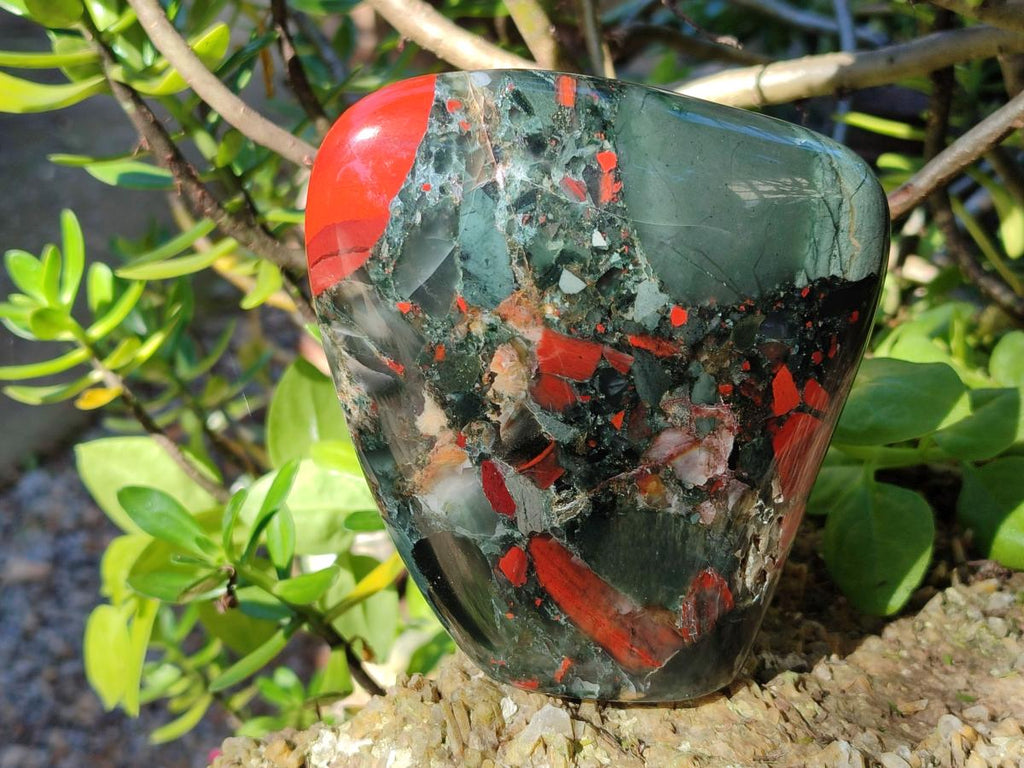 Polished Bloodstone Display Crystal Points and Standing Display Piece x 2 From Swaziland - Toprock Gemstones and Minerals 