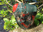 Polished Bloodstone Display Crystal Points and Standing Display Piece x 2 From Swaziland - Toprock Gemstones and Minerals 