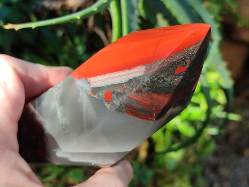 Polished Bloodstone Display Crystal Points and Standing Display Piece x 2 From Swaziland - Toprock Gemstones and Minerals 
