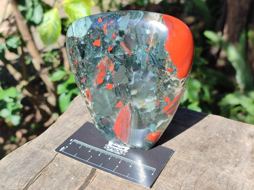 Polished Bloodstone Display Crystal Points and Standing Display Piece x 2 From Swaziland - Toprock Gemstones and Minerals 