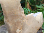 Polished Smokey Quartz Crystals x 2 From Angola - Toprock Gemstones and Minerals 