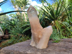 Polished Smokey Quartz Crystals x 2 From Angola - Toprock Gemstones and Minerals 