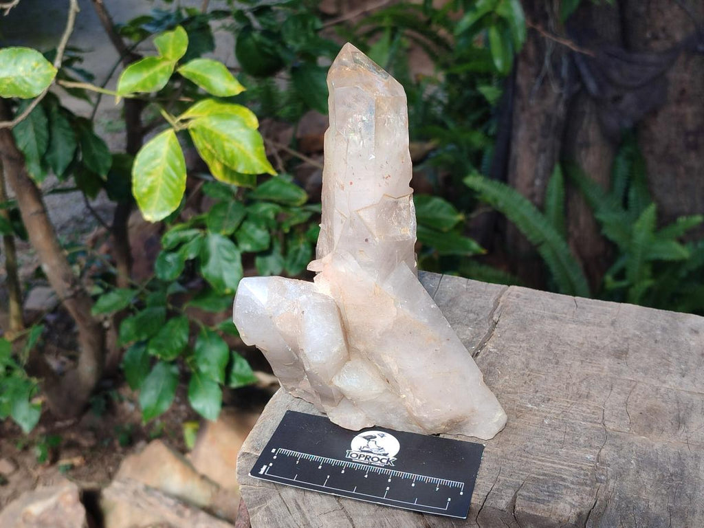 Polished Smokey Quartz Crystals x 2 From Angola - Toprock Gemstones and Minerals 