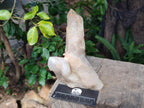Polished Smokey Quartz Crystals x 2 From Angola - Toprock Gemstones and Minerals 